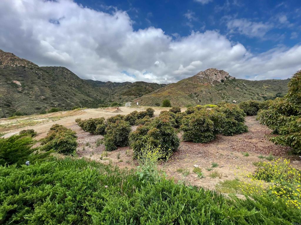 10267 Sandia Creek Drive