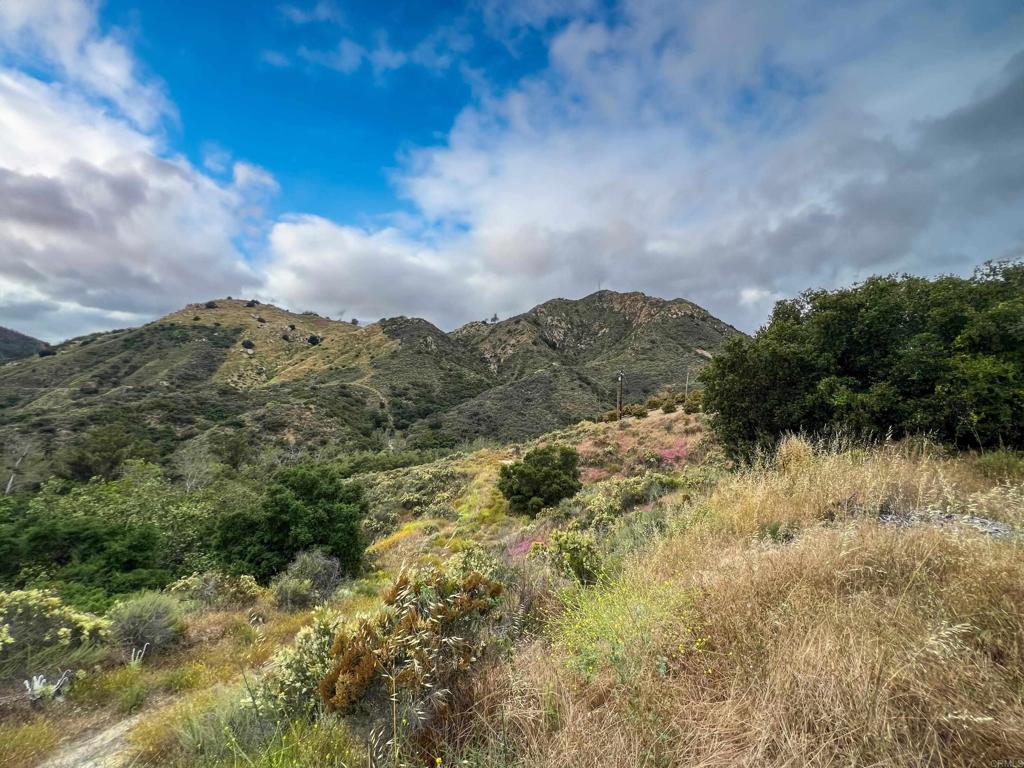 10267 Sandia Creek Drive