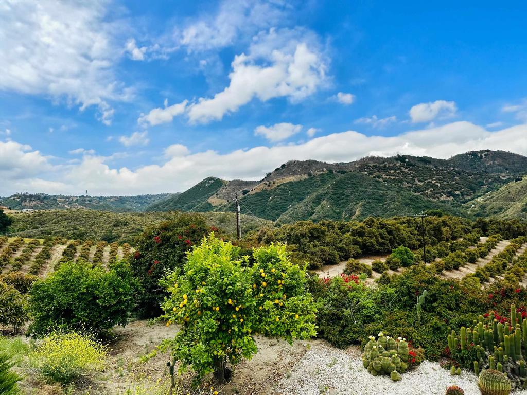 10267 Sandia Creek Drive