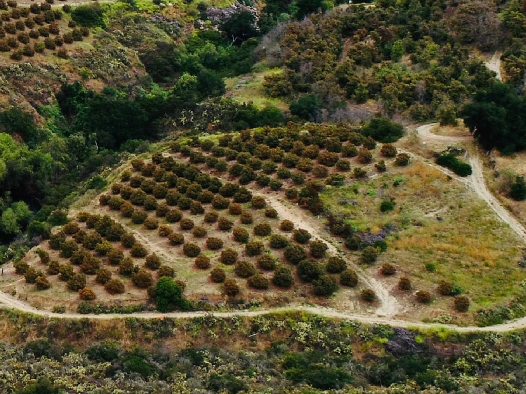 10267 Sandia Creek Drive