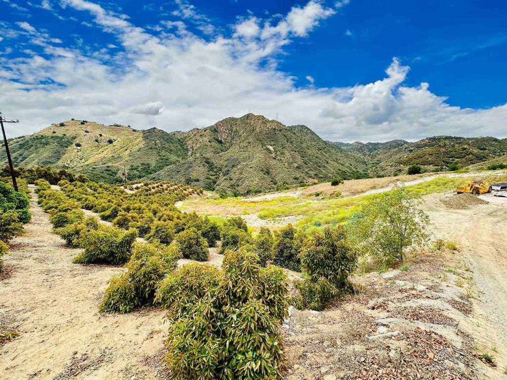 10267 Sandia Creek Drive