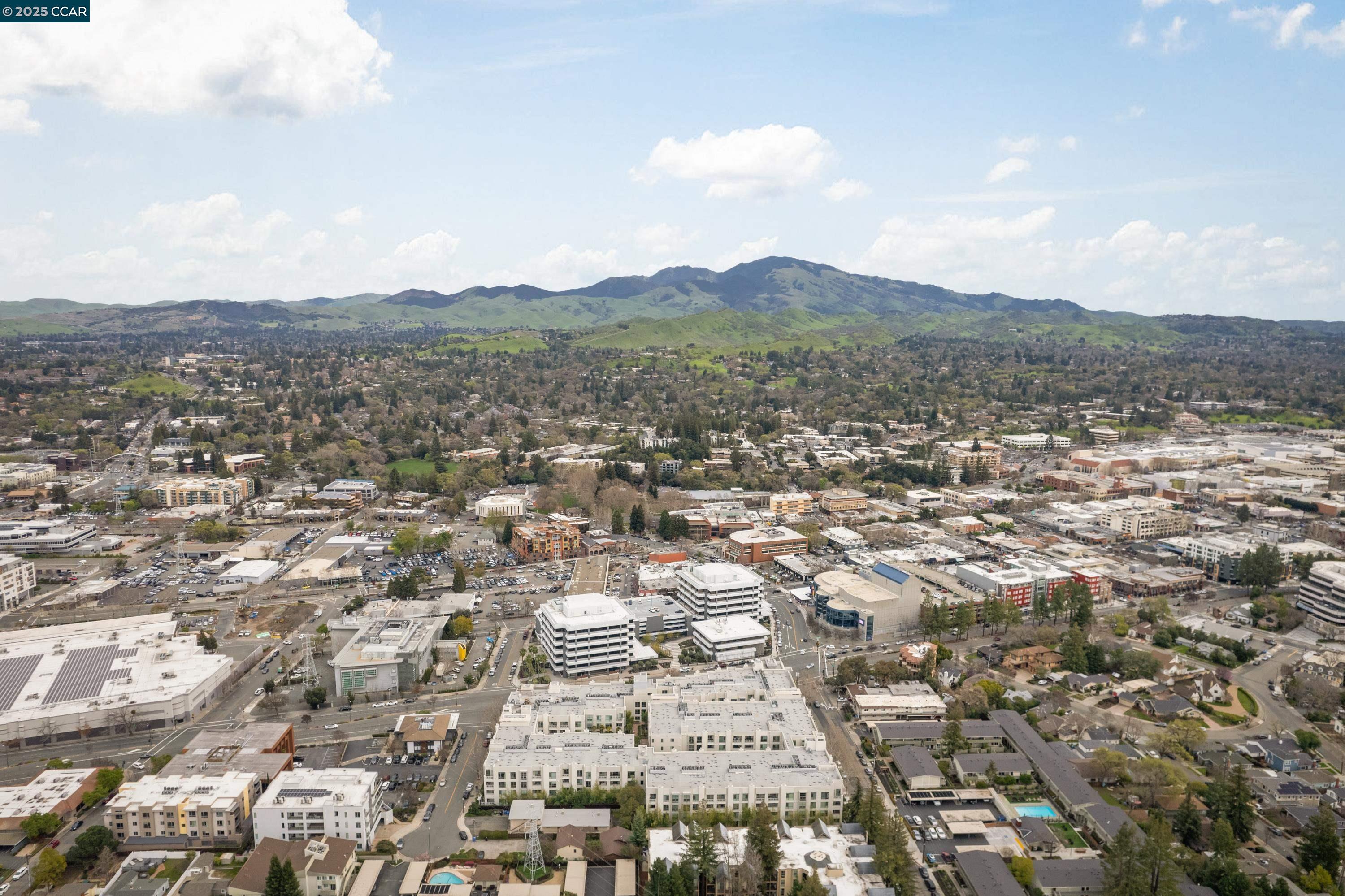 1655 N California Blvd. # 203