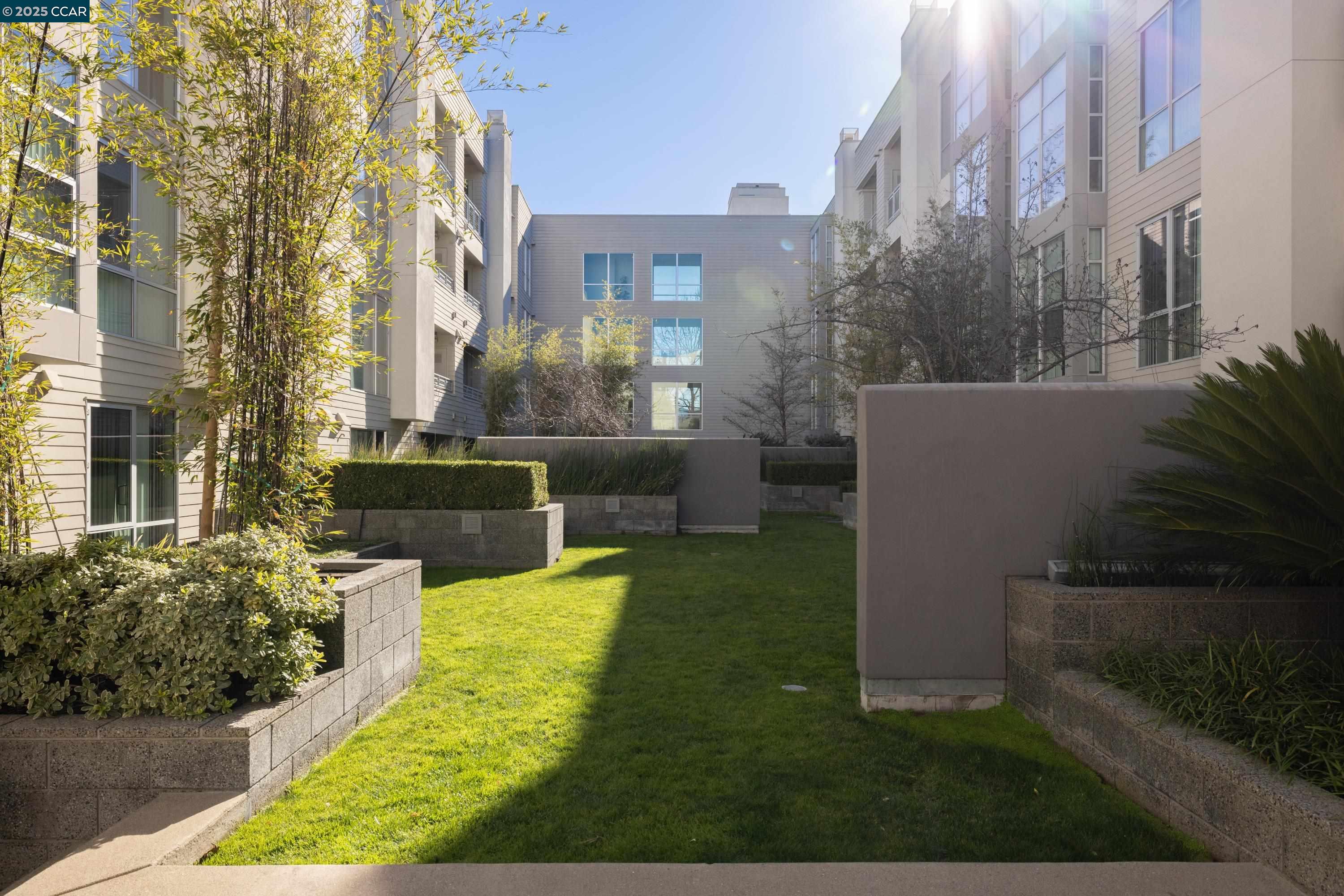 1655 N California Blvd. # 203