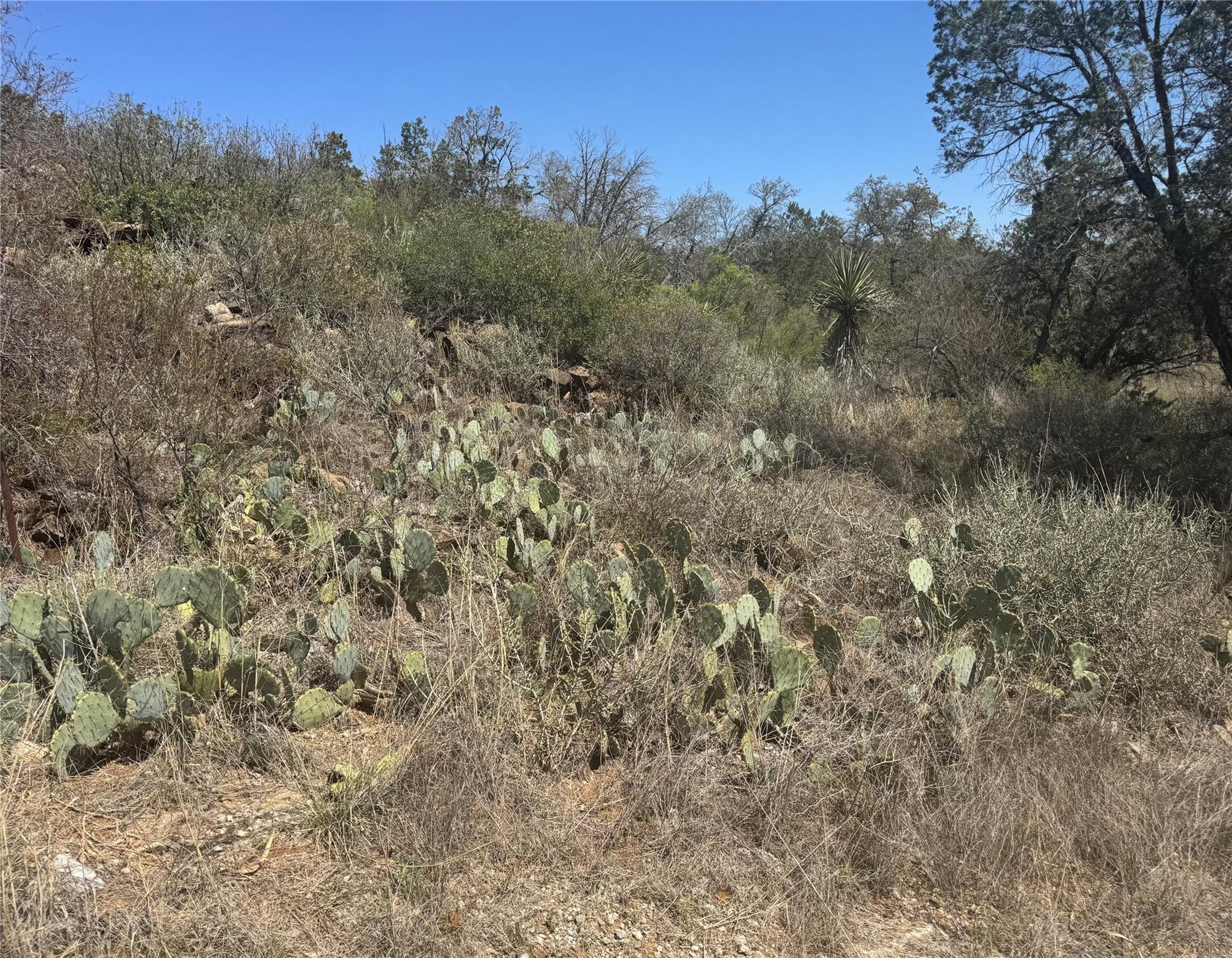 Lot 56 War Bonnet RDG
