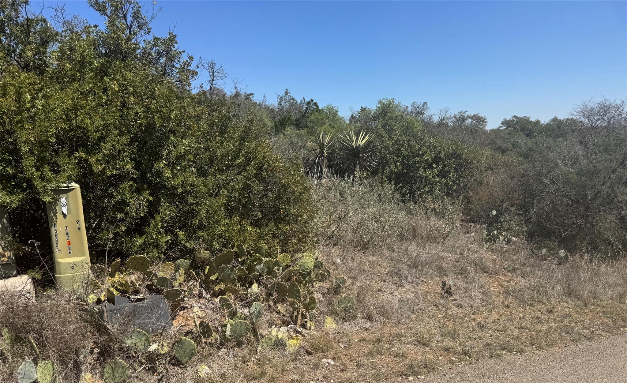 Lot 56 War Bonnet RDG