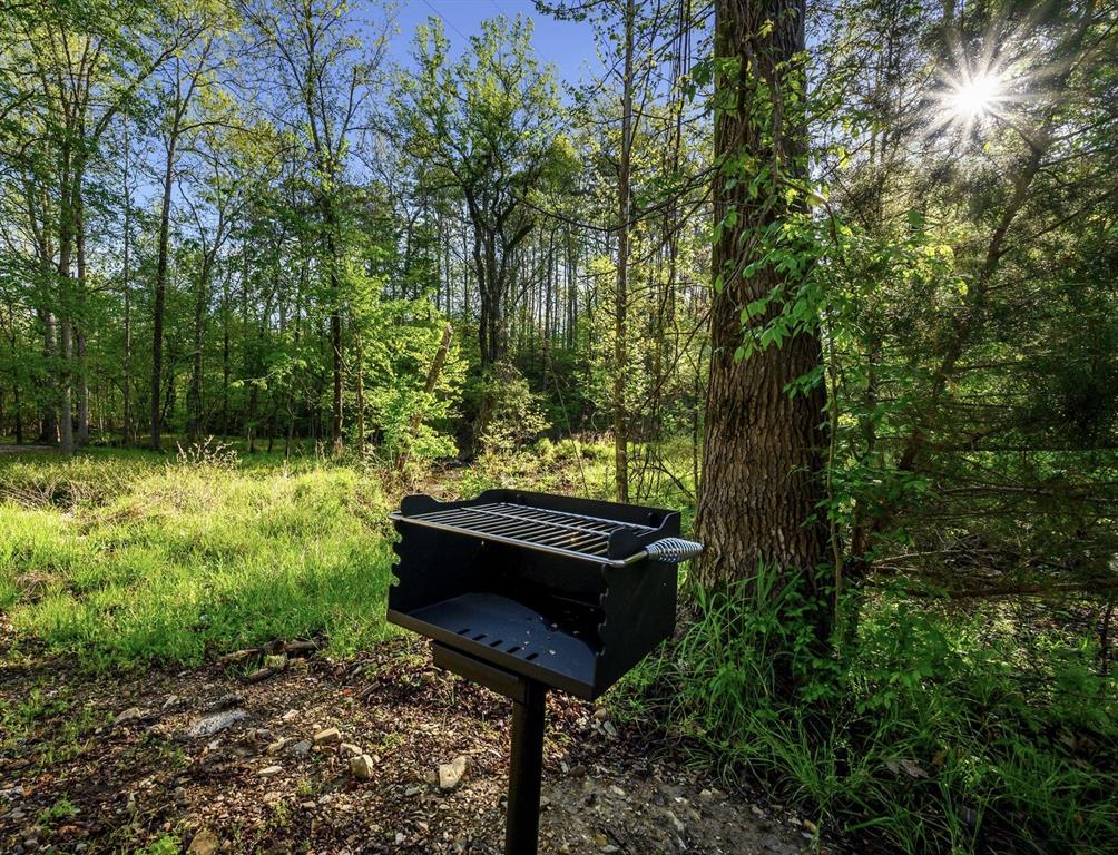 359 Lucian Sorrel Road