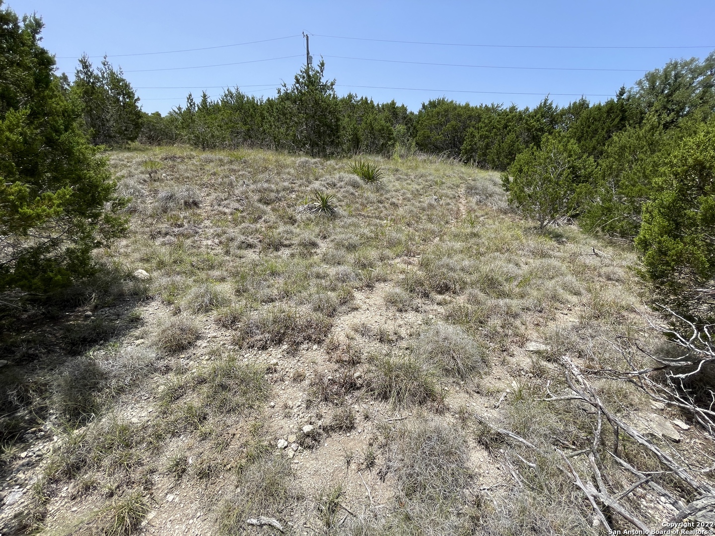 421 BLUEBONNET BREEZE