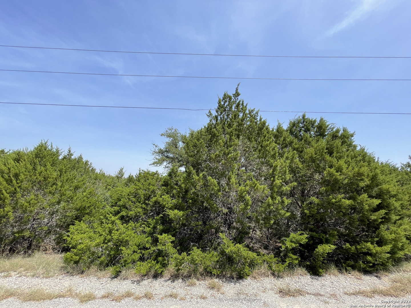 421 BLUEBONNET BREEZE