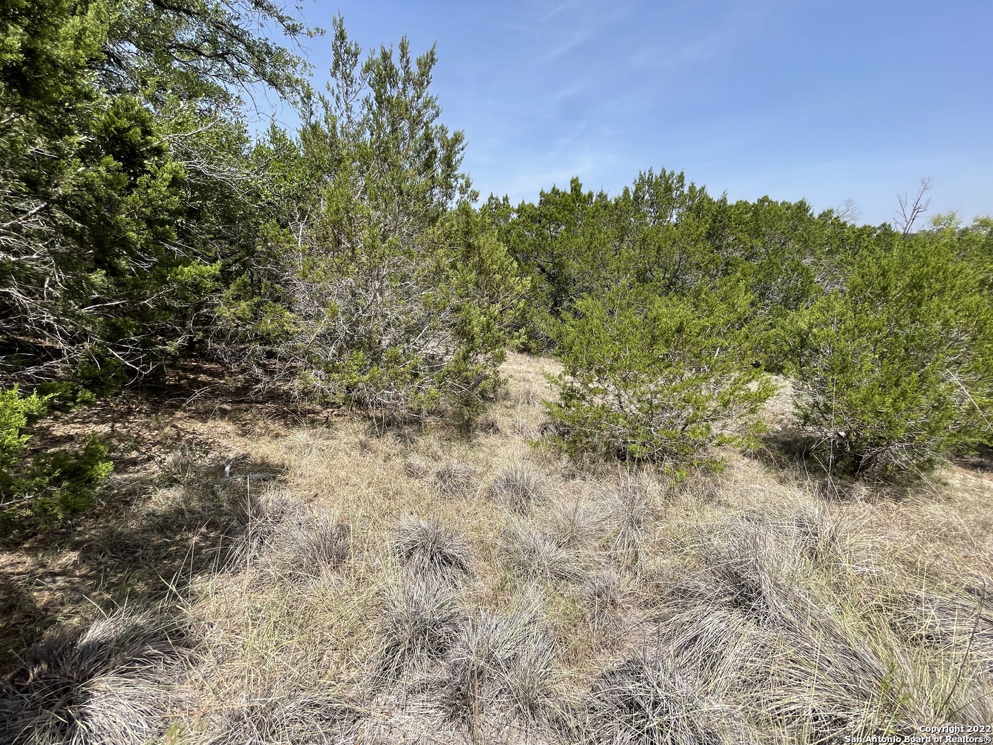 421 BLUEBONNET BREEZE