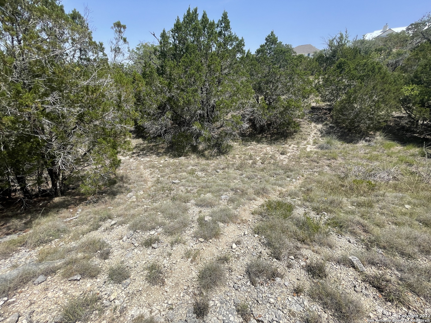 421 BLUEBONNET BREEZE