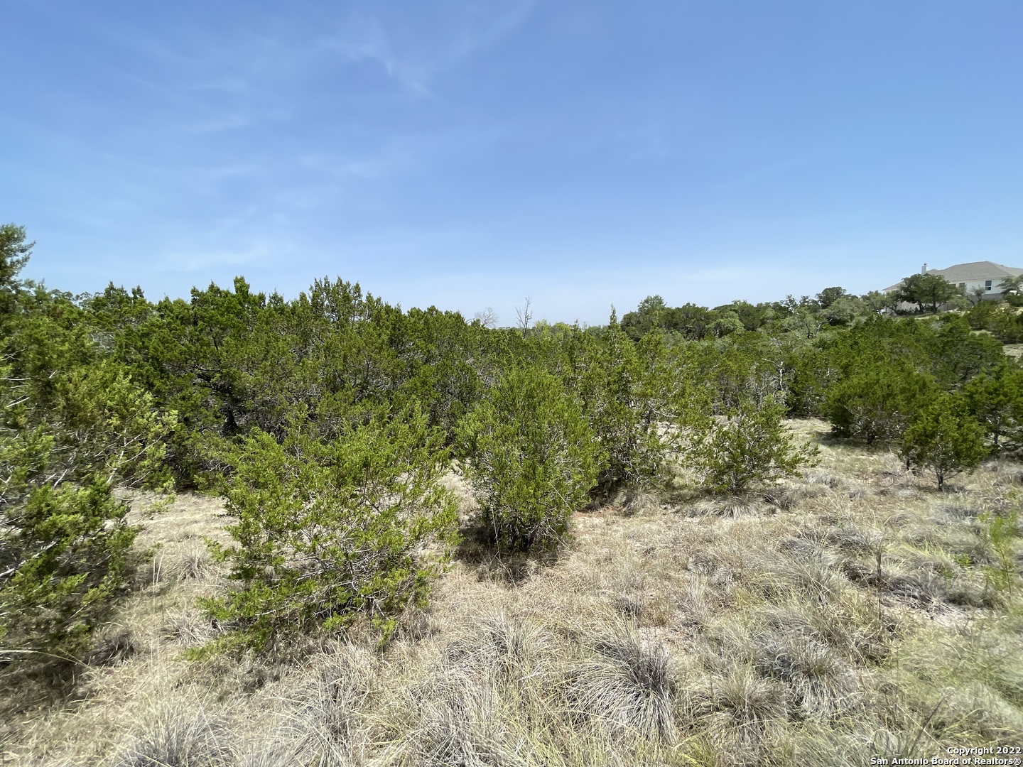 421 BLUEBONNET BREEZE