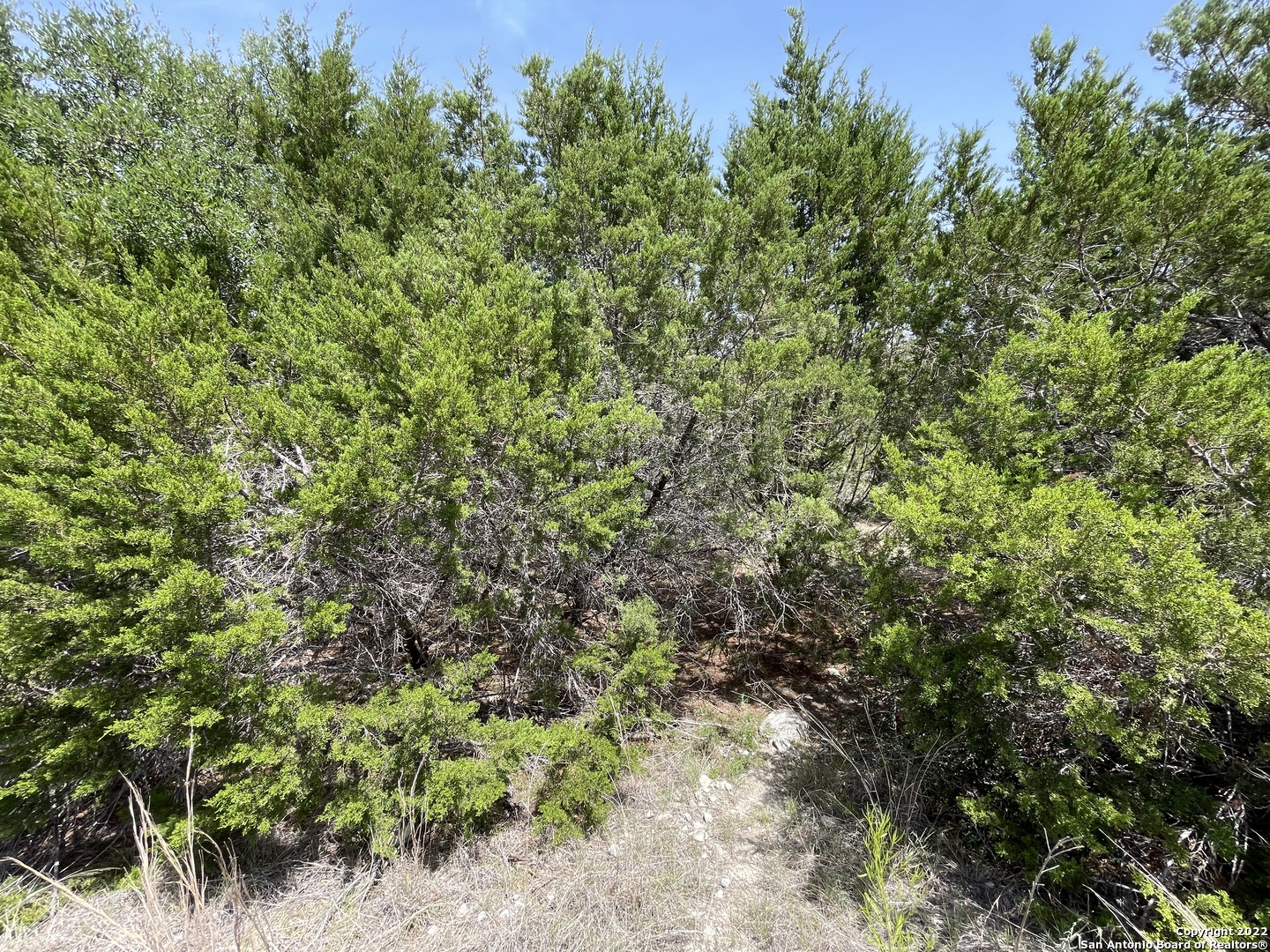 421 BLUEBONNET BREEZE