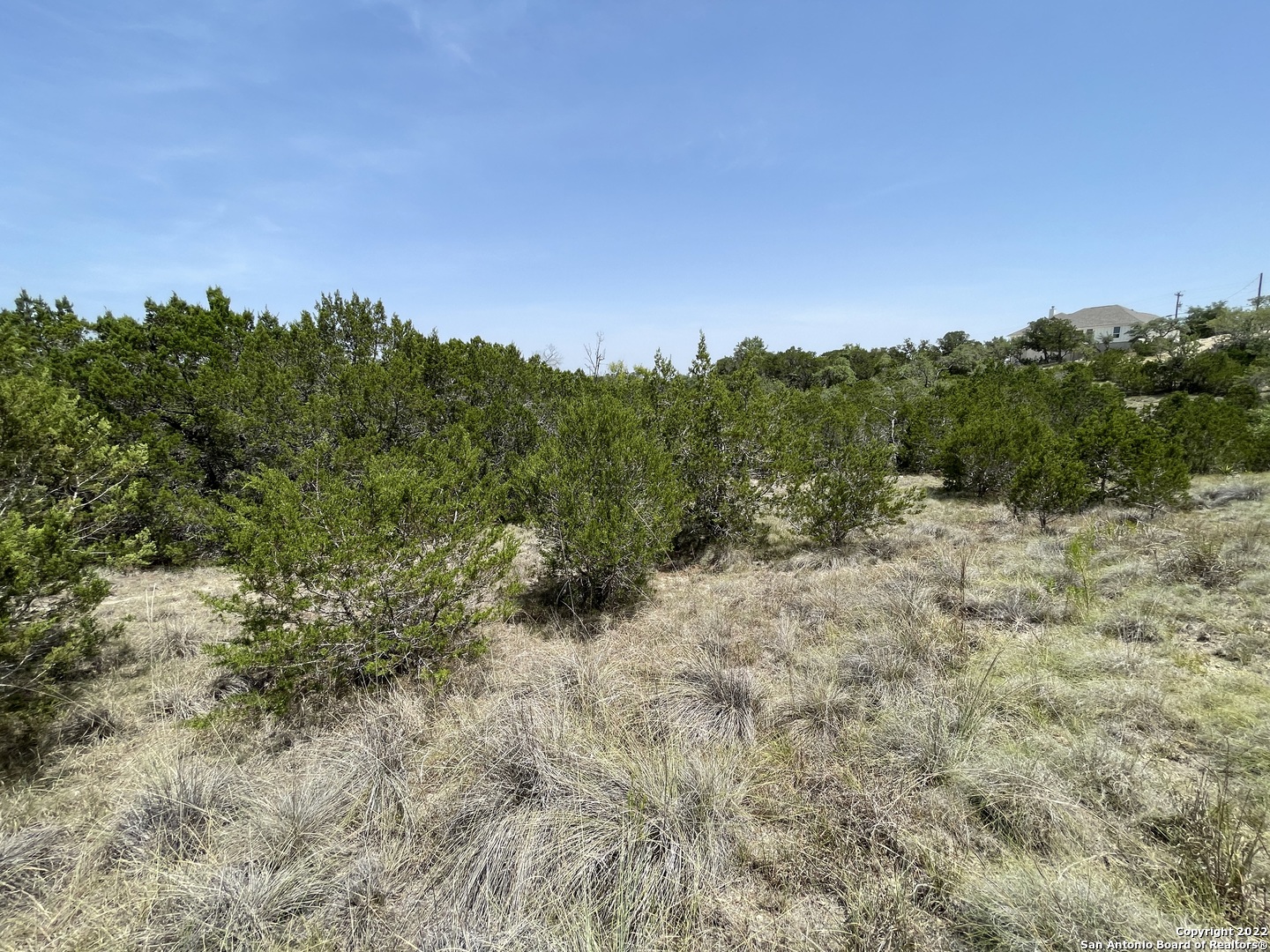 421 BLUEBONNET BREEZE