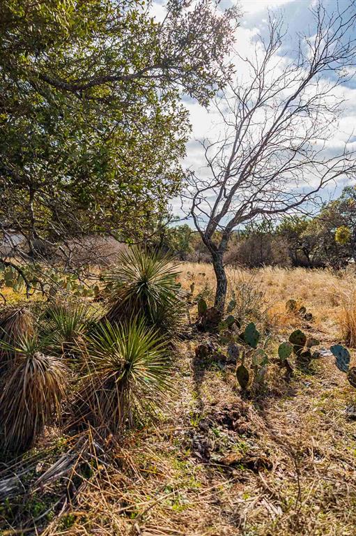 Lot 20 & 21 County Rd 141 RD