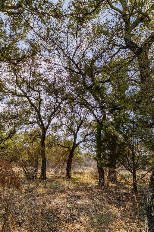 Lot 20 & 21 County Rd 141 RD