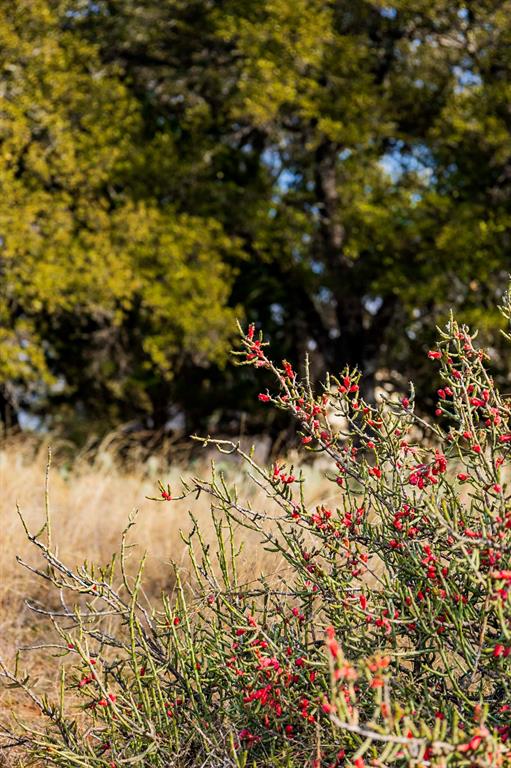 Lot 20 & 21 County Rd 141 RD