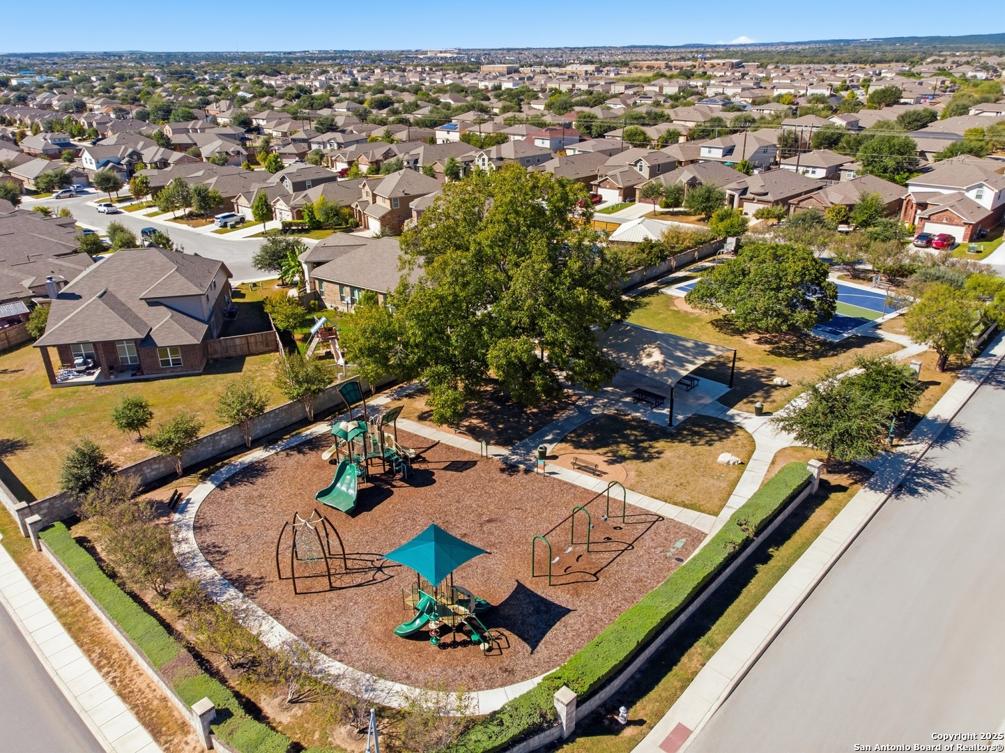 9502 Bricewood Tree
