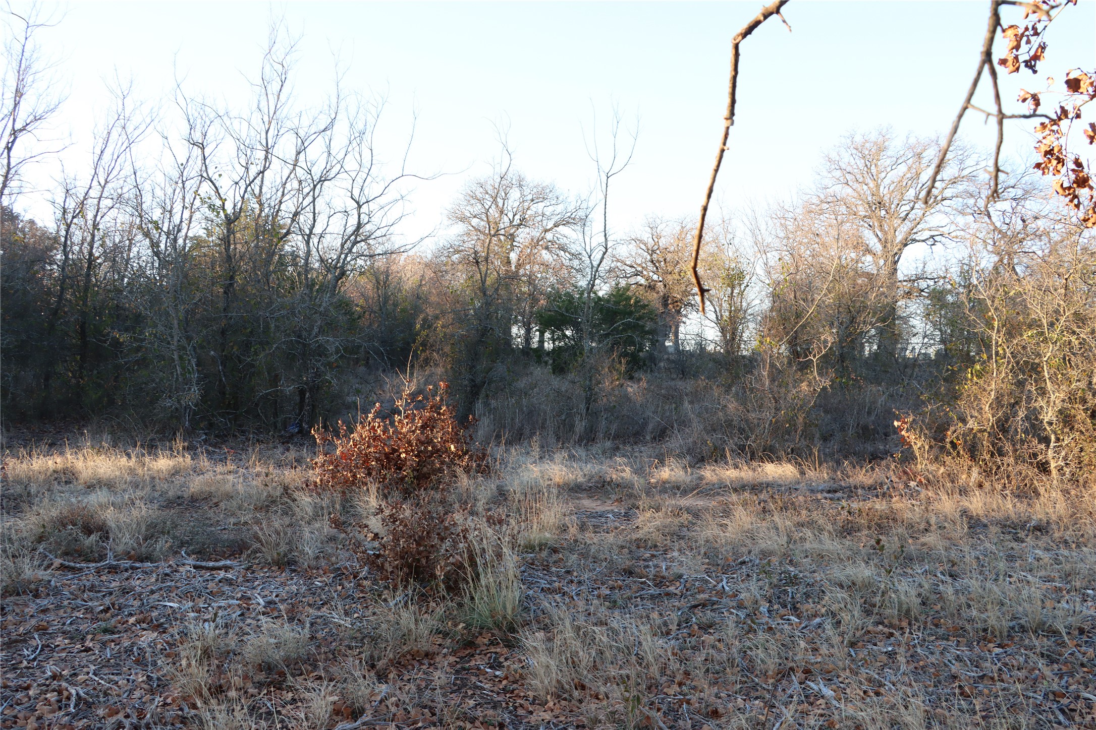 Lot 11 New Hope Road