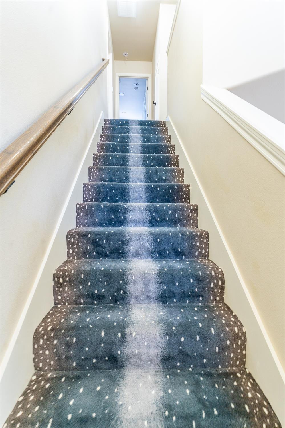 11110 Detroit Avenue