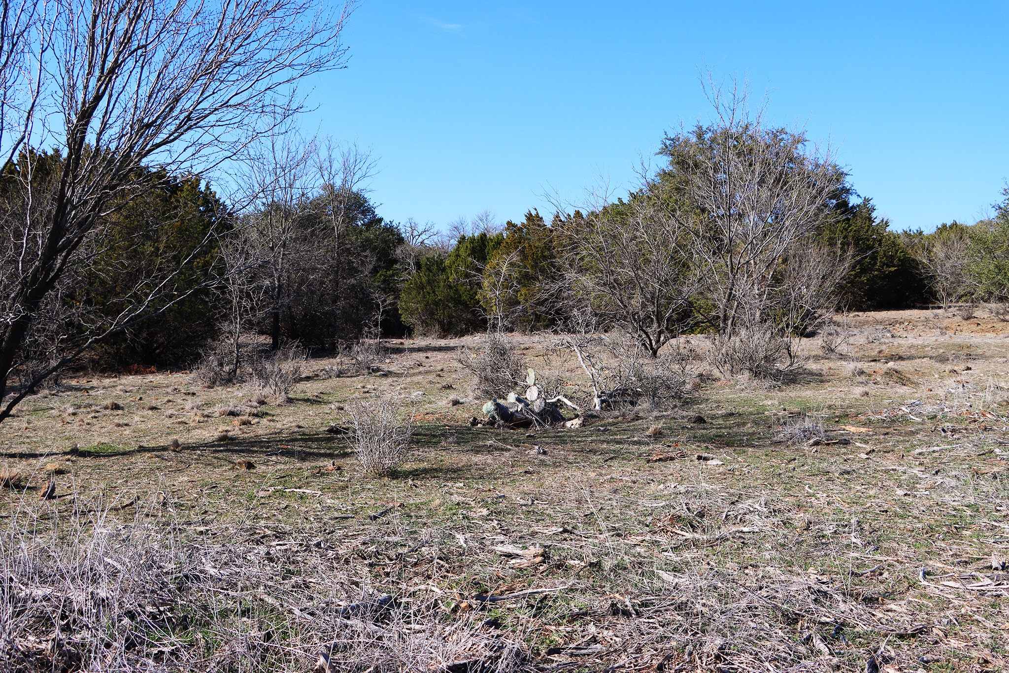 Lot 103 Brazos Valley Drive