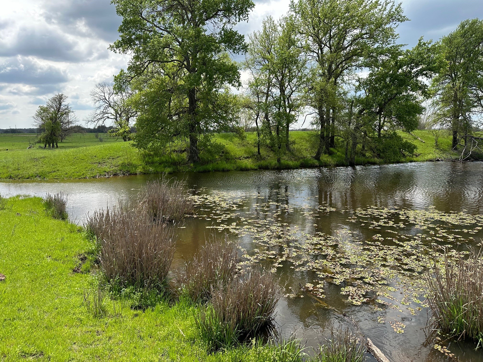 Lot 5 Pleasant Valley Road