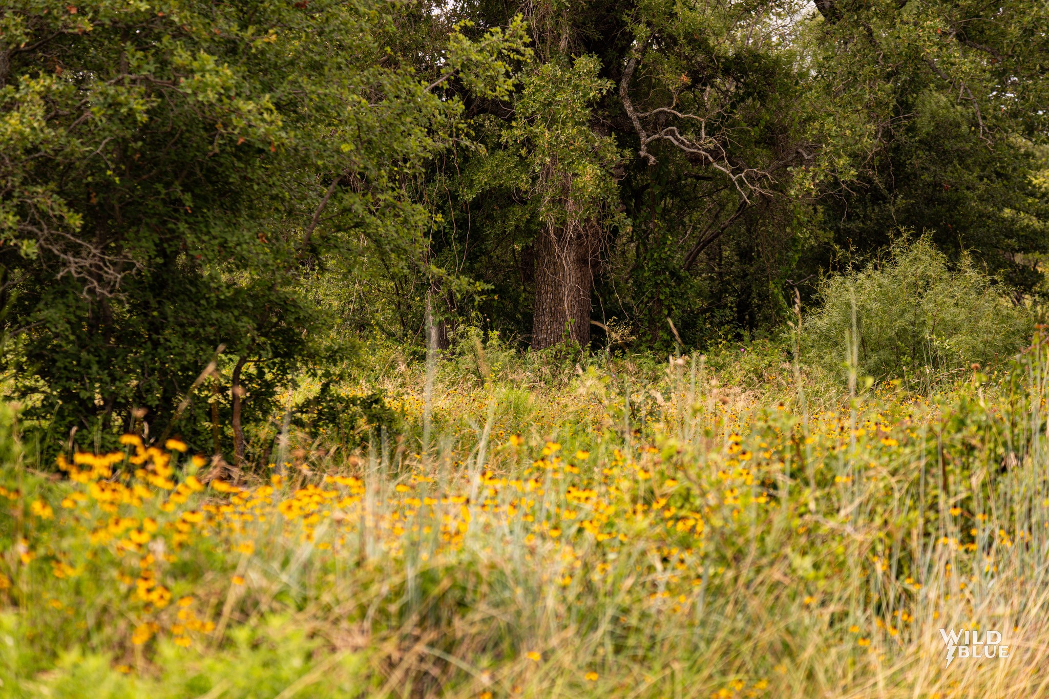 Lot 26 New Hope Road Road