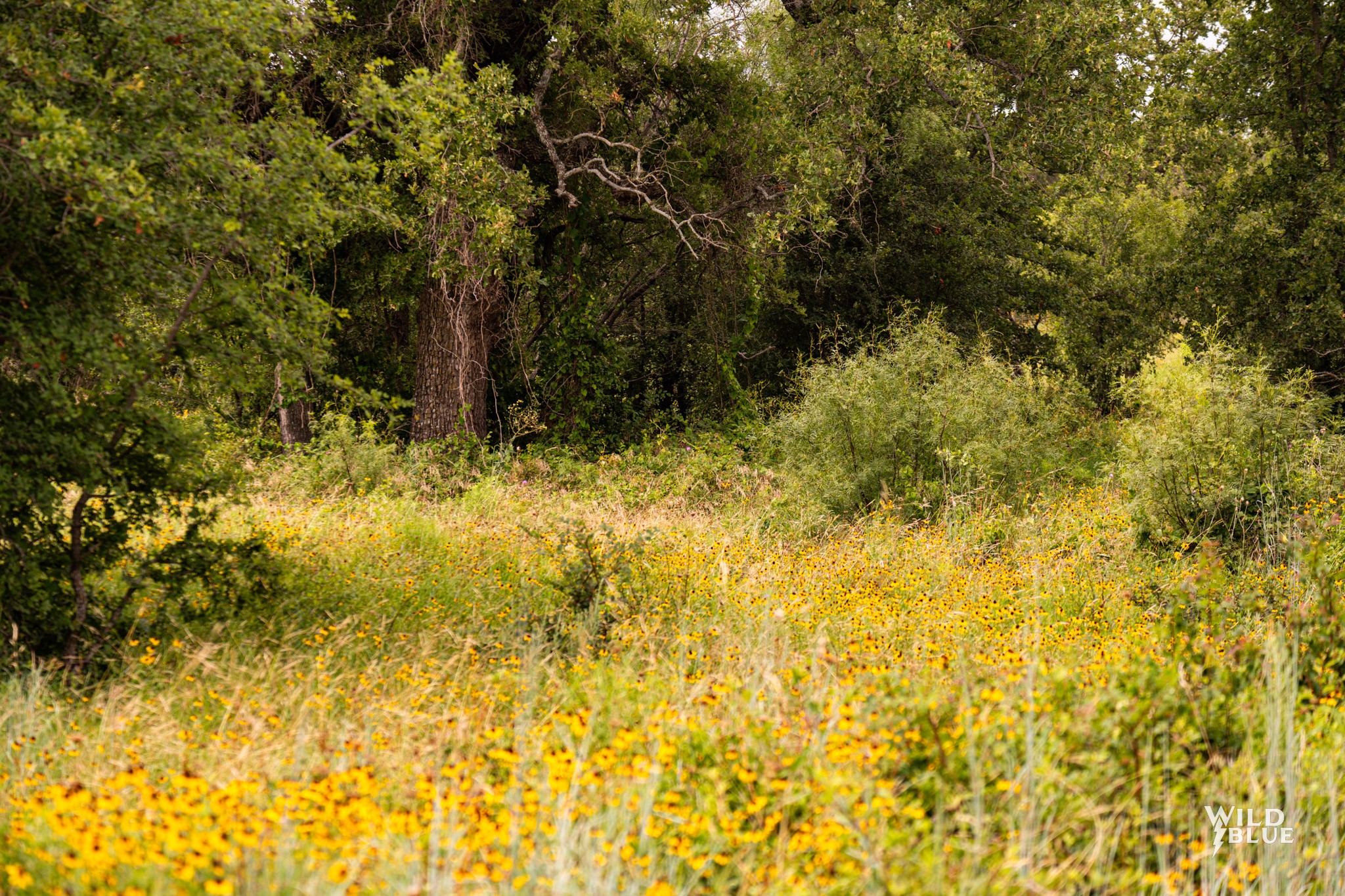 Lot 26 New Hope Road Road