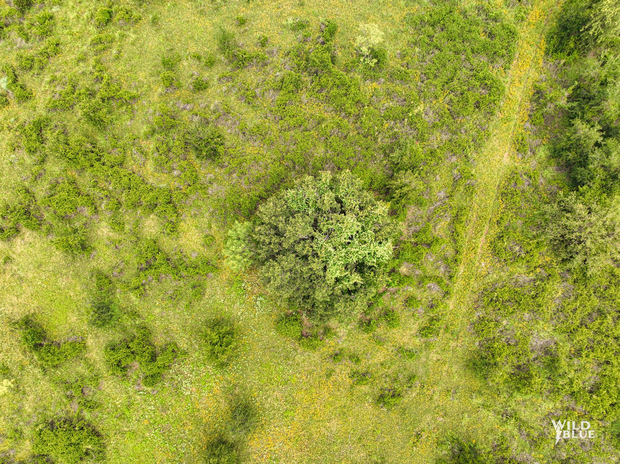 Lot 26 New Hope Road Road