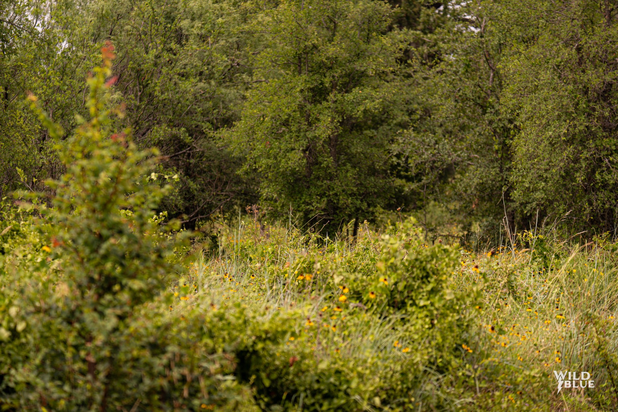 Lot 26 New Hope Road Road