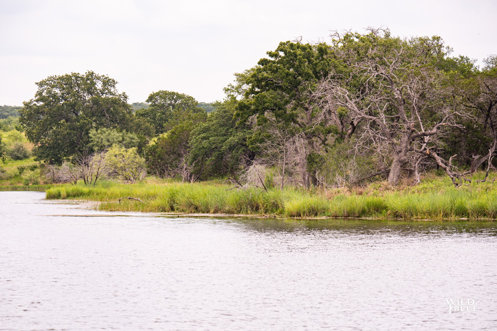 2170 River Shoals Road