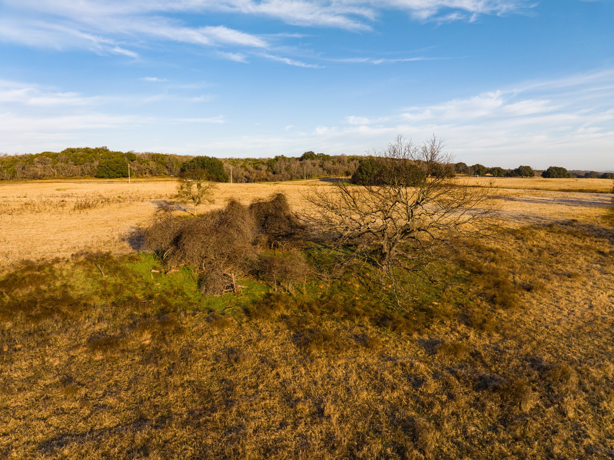 Lot 133 Brazos Mountain Ranch