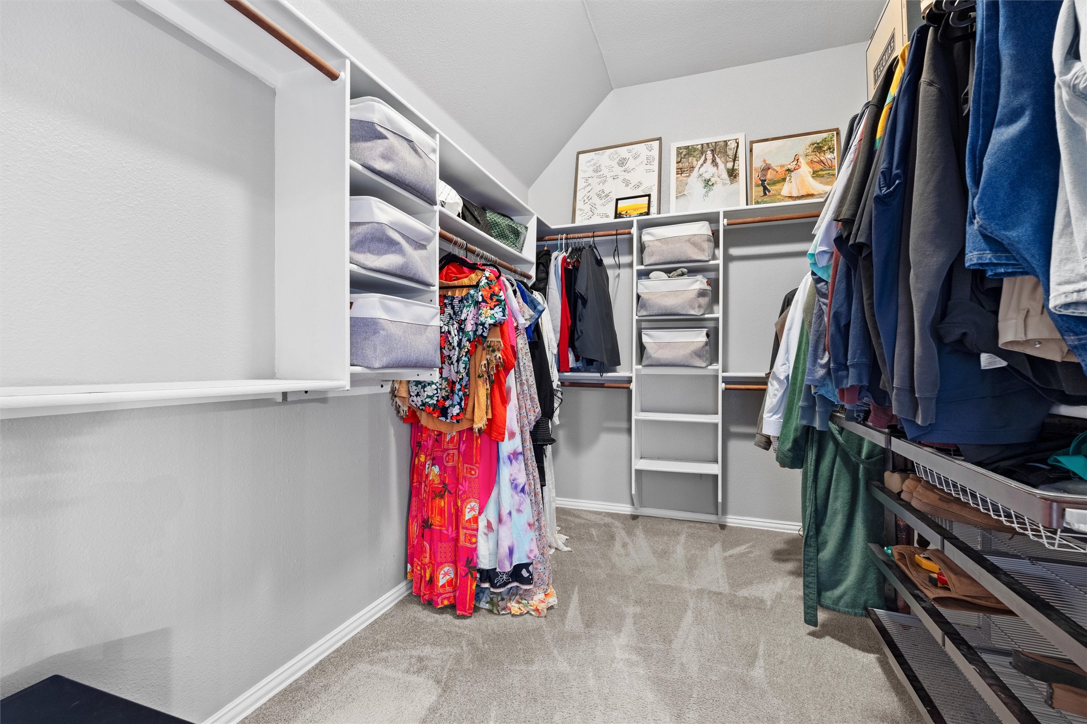 8316 Estandarte Court