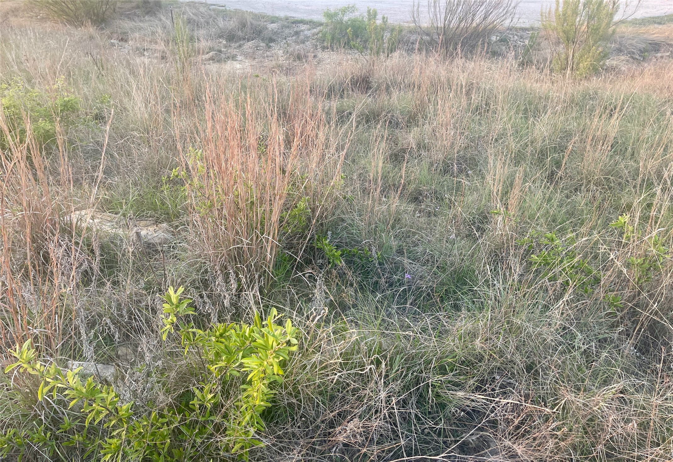 Lot616 Caprock Court