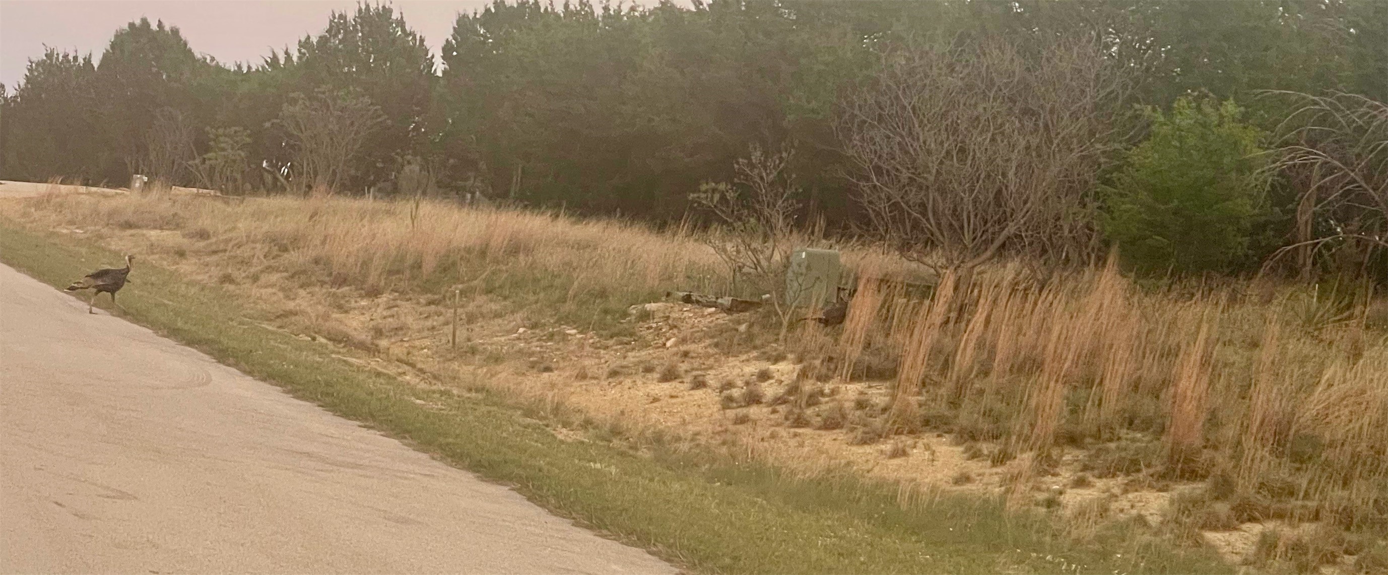 Lot616 Caprock Court