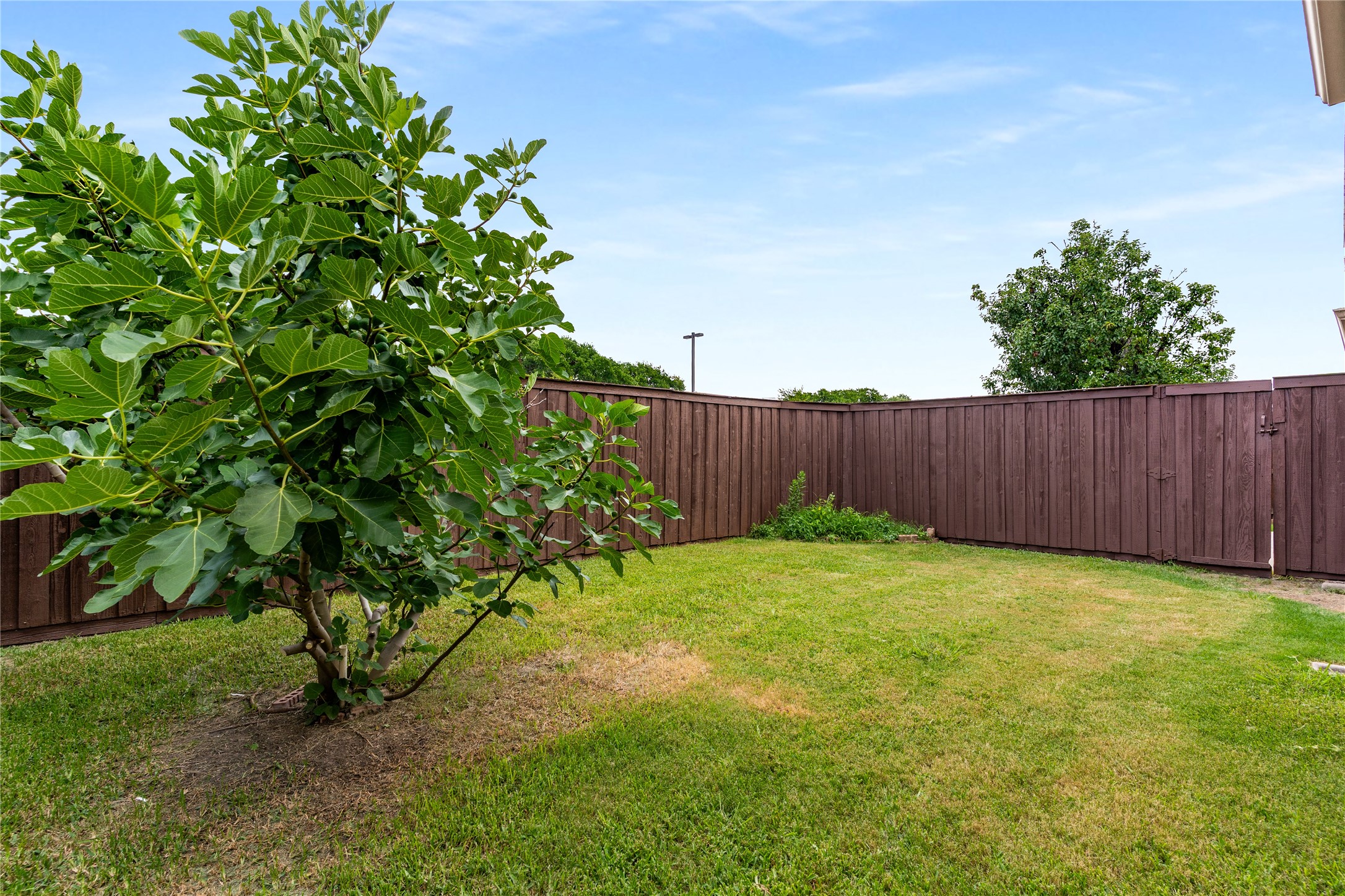 3616 Canyon Oaks Drive