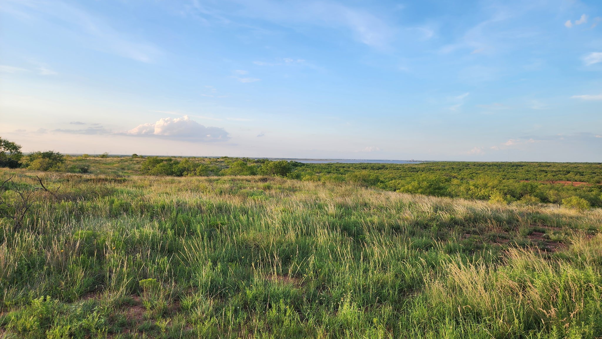 32+ acres Lake Stamford FM 600