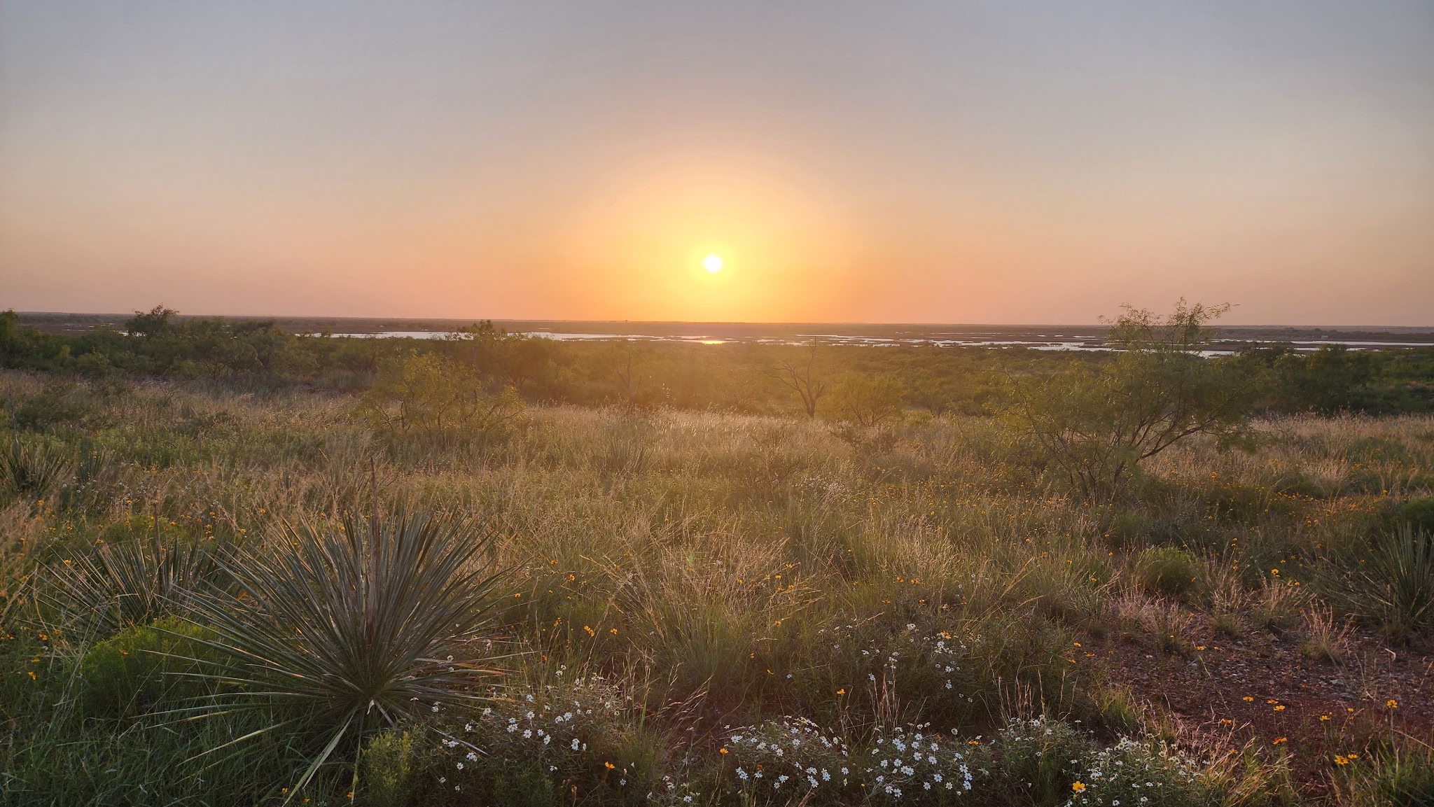 32+ acres Lake Stamford FM 600