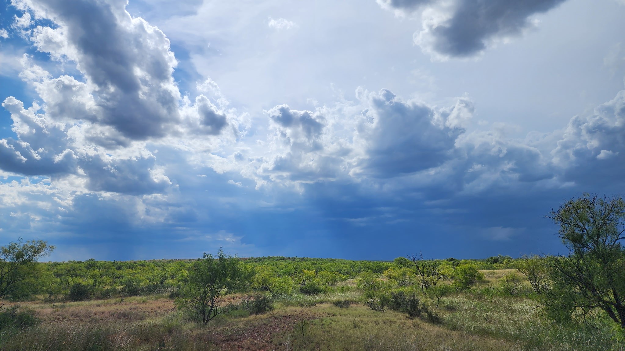 32+ acres Lake Stamford FM 600