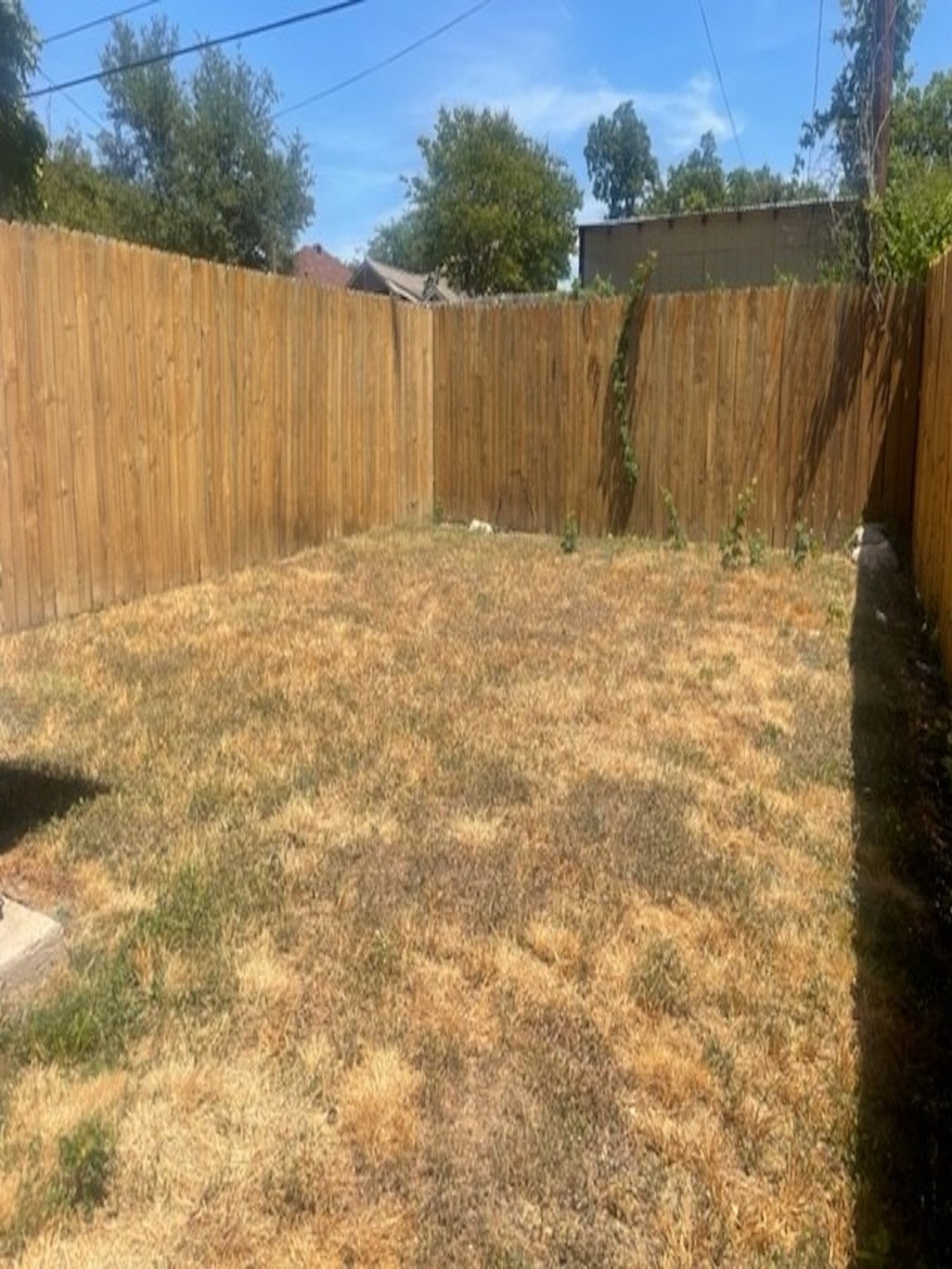 424 Mount Auburn Avenue