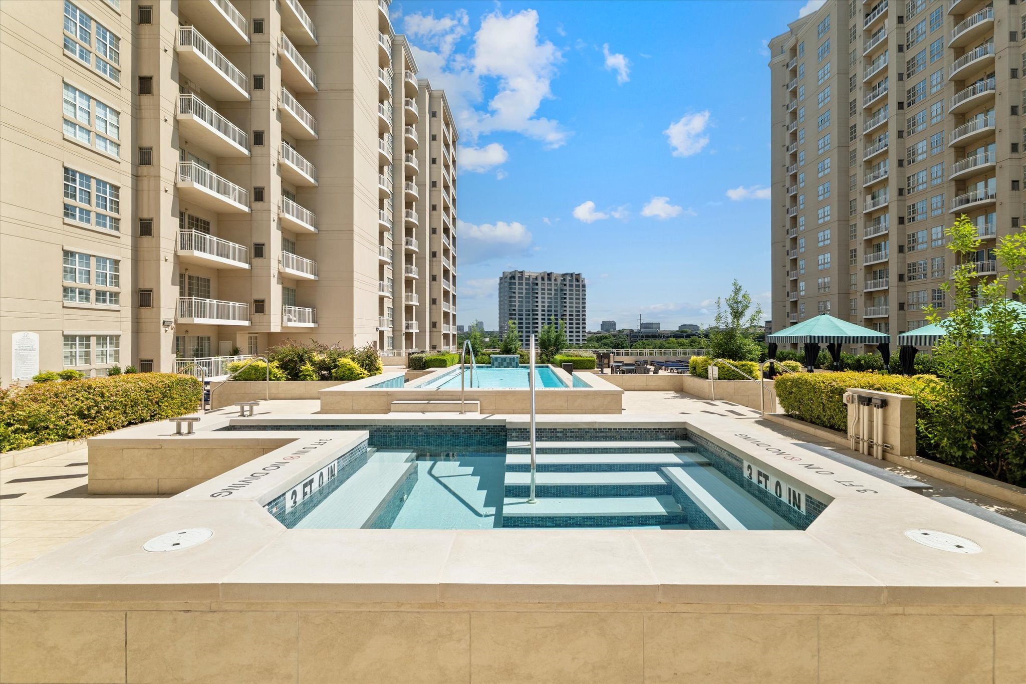 3225 Turtle Creek Boulevard 1009