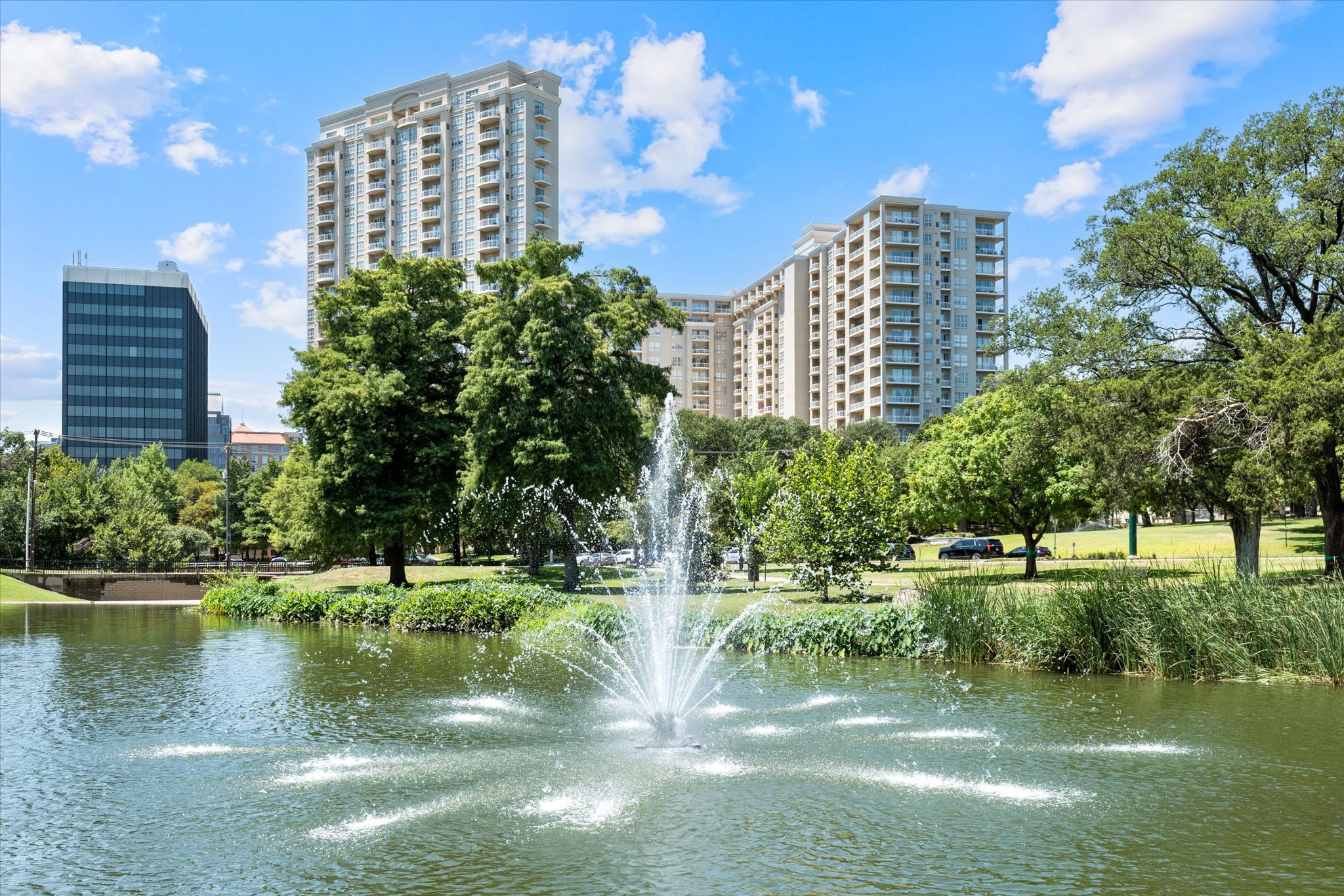 3225 Turtle Creek Boulevard 1009