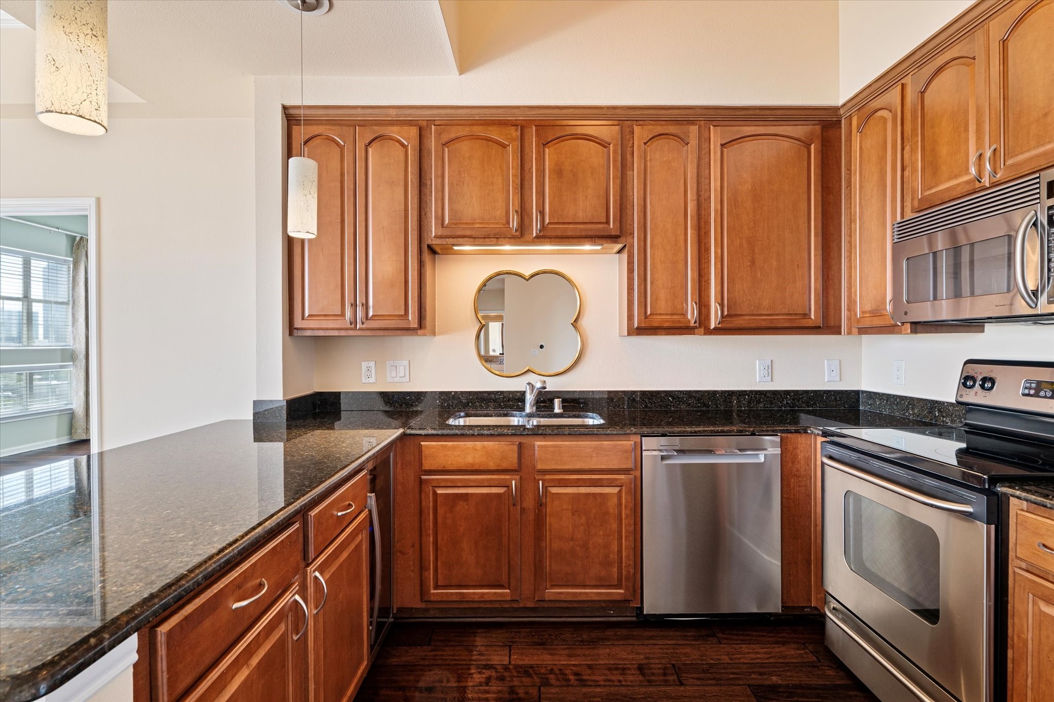 3225 Turtle Creek Boulevard 1009