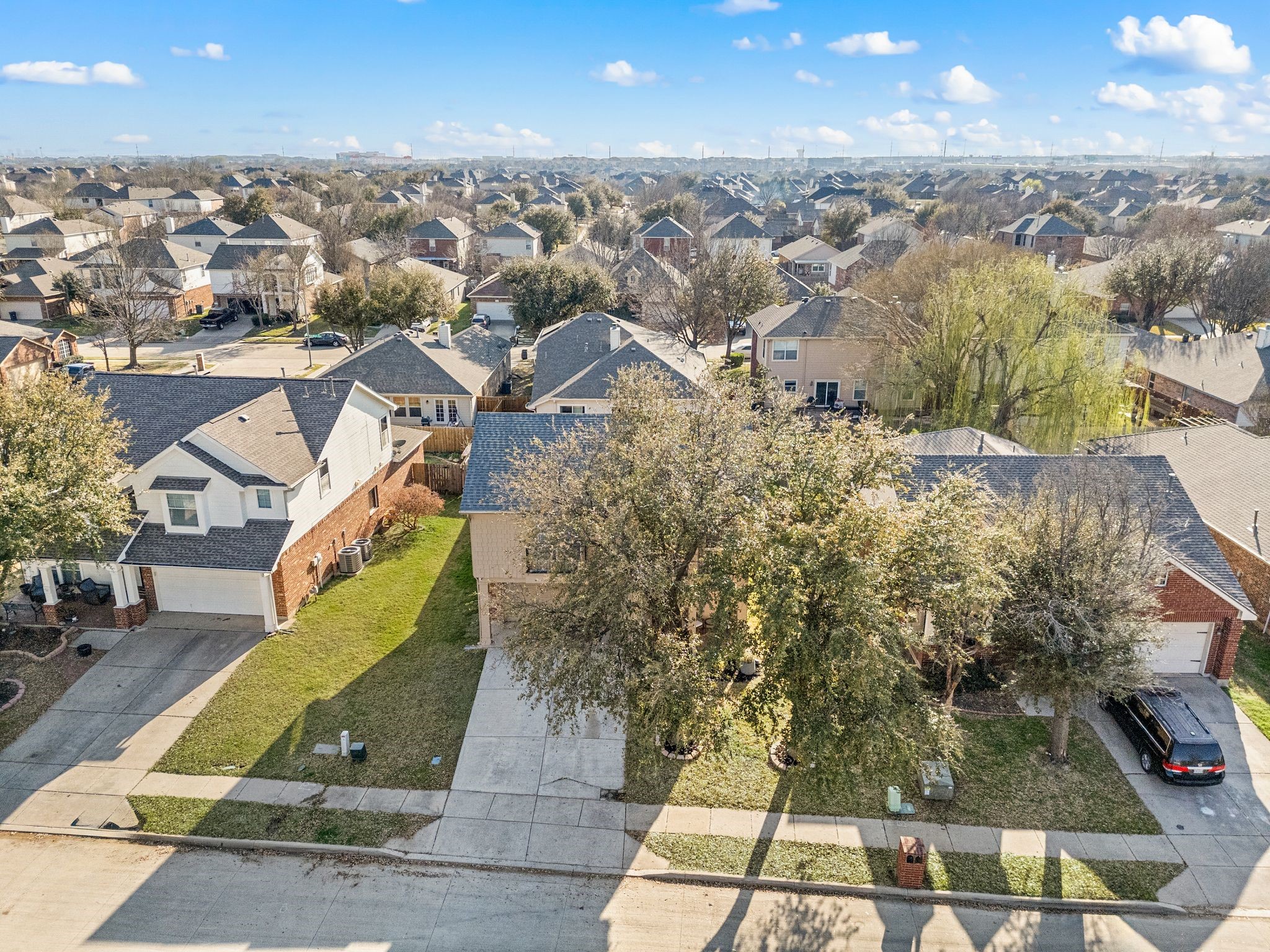 12033 Ringtail Drive