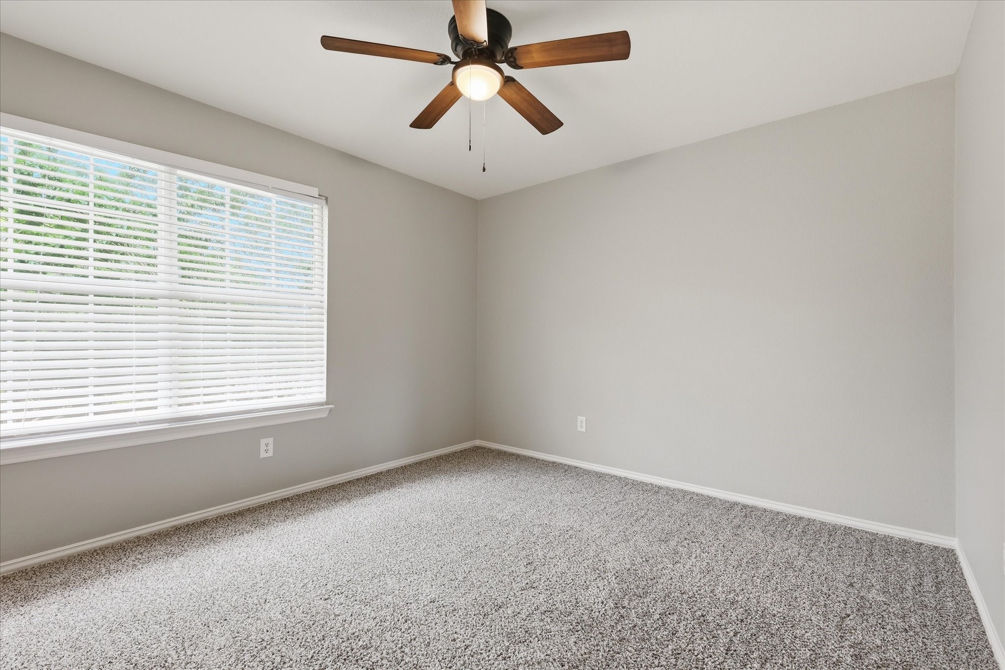 5401 Palace Drive