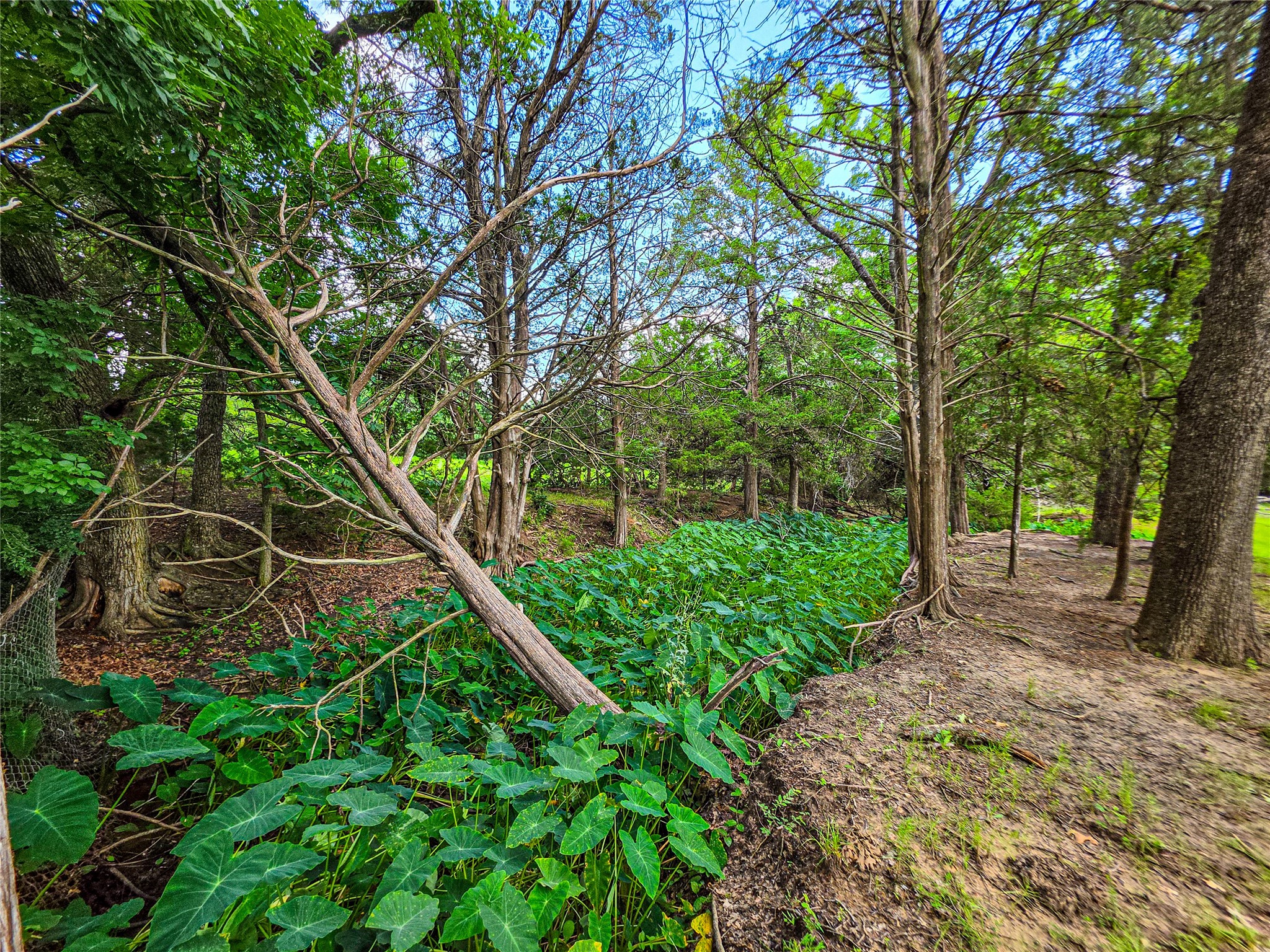 1900 Haymarket Road