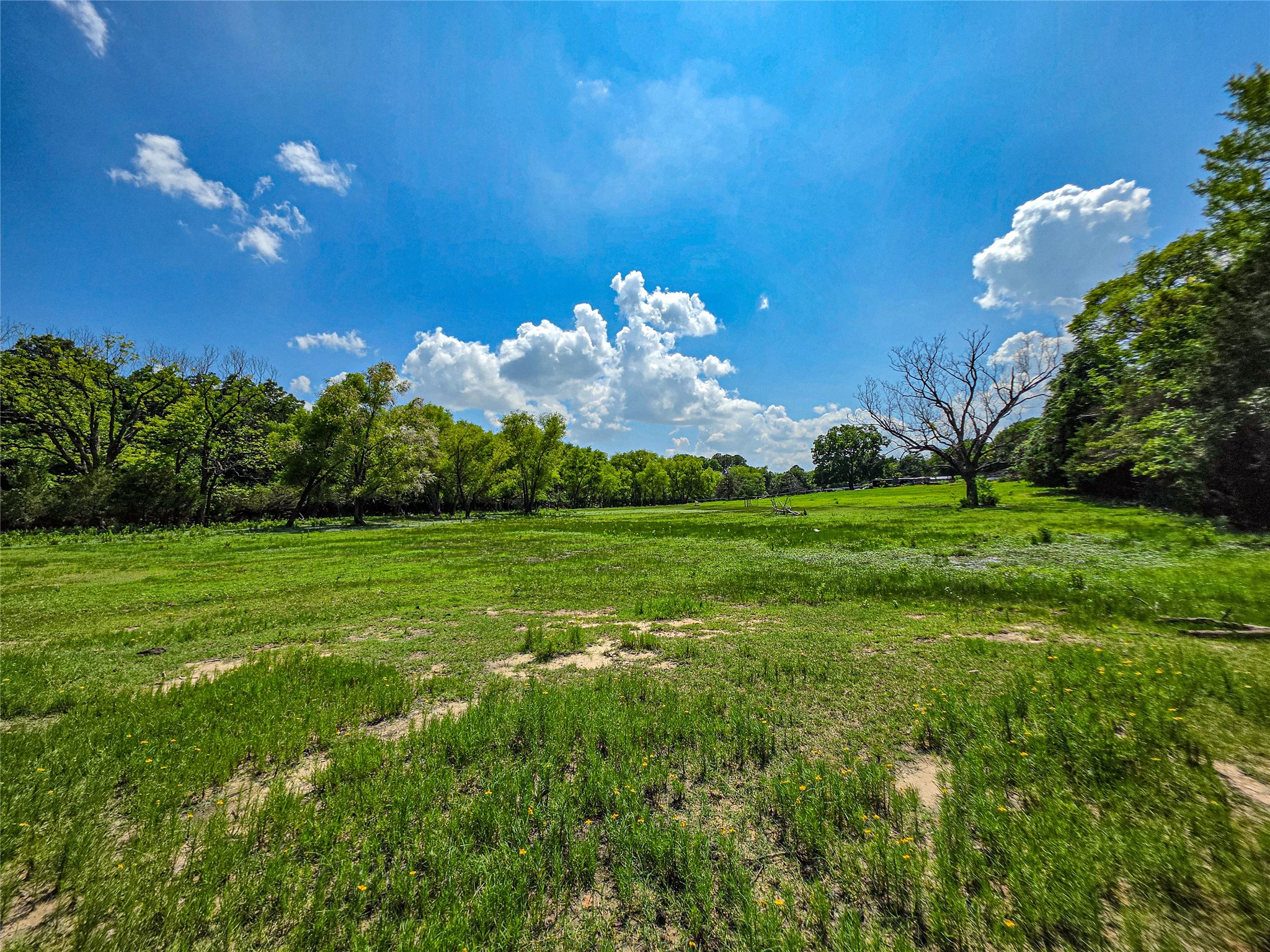 1900 Haymarket Road