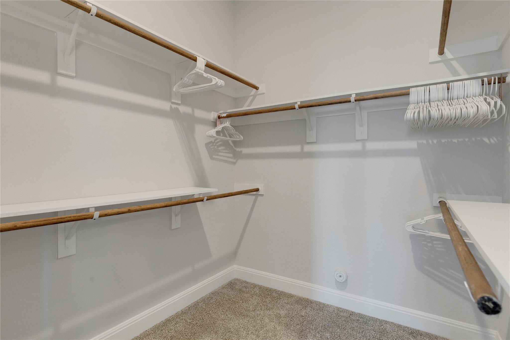 124 Leadtree LOOP