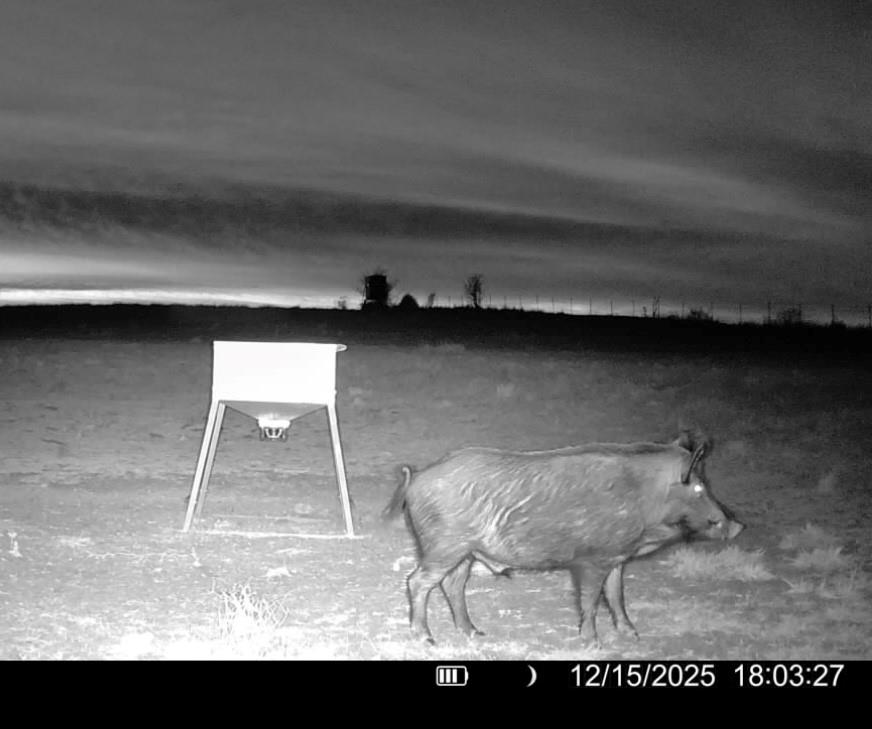 3713 County Road 386