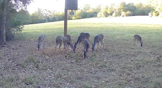 3713 County Road 386