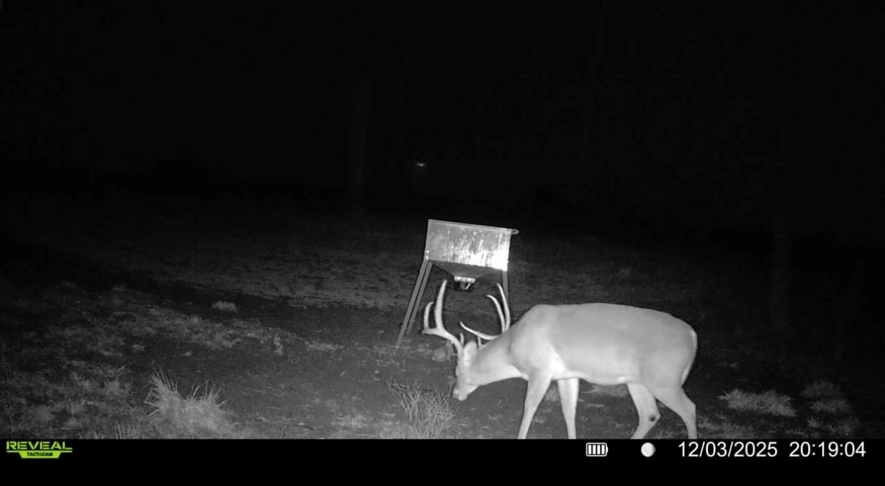 3713 County Road 386